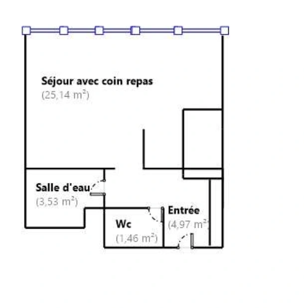 Plan du studio : séjour 25,14 m², entrée 4,97 m², salle d’eau 3,53 m², WC 1,46 m², deux placards et fenêtres sur toute la longueur